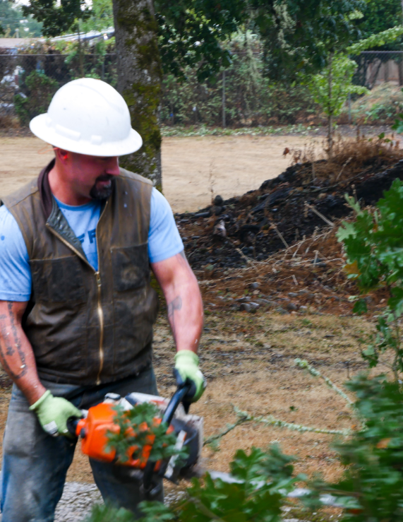 Chad Clipfell of Clippy’s Tree Pros performing professional tree trimming with a chainsaw on a residential property in the Salem, Oregon area.